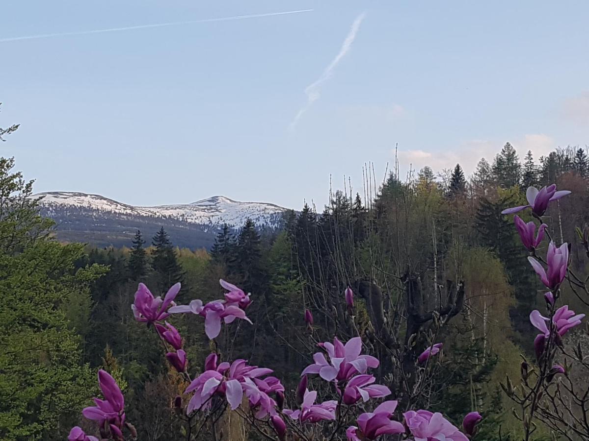 Skaly Spaly Przesieka Exteriér fotografie